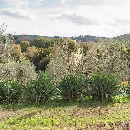 Apartment In Umbria Near Montefalco Winery * Giano dellʼUmbria